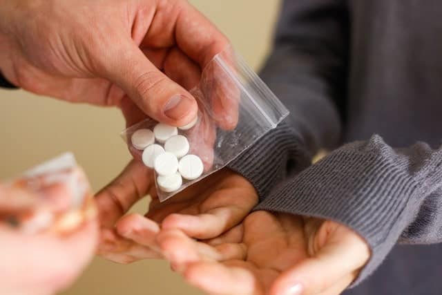 Professional Drug Crime Defense Strategies sect